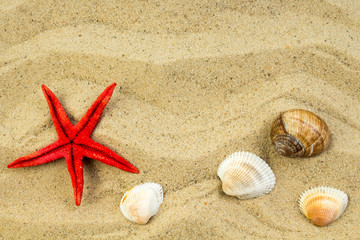 Fototapeta na wymiar Sand on the beach, starfish and pebbles as background. Concept of rest. Top view.