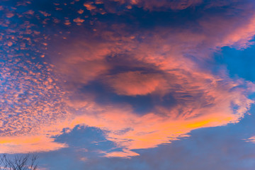 Sunrise in the forest