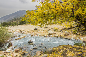 The autumn season inside 