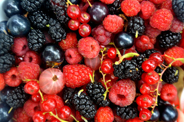 Fresh organic summer berries background. Mulberry, currant, raspberry