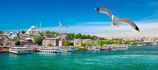 Printed roller blinds Turkey Golden Horn Bay of Istanbul