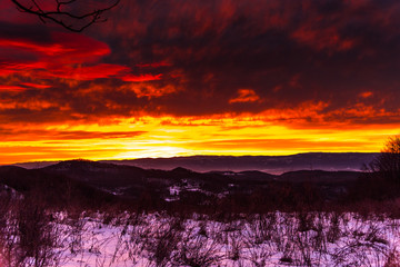 Morning in the winter