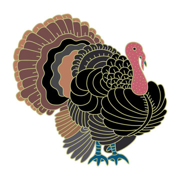 Turkey bird for Thanksgiving.
Hand drawn vector illustration of a male turkey on white background.


