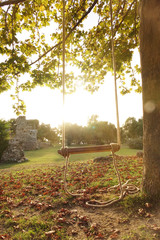 An empty wooden swing is hung on a rope on a large live oak branch . Calm relaxing beautiful view .
