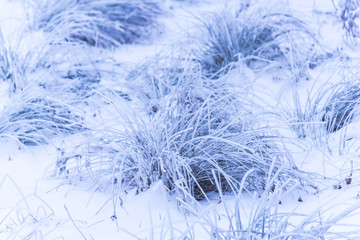 Mystic winter fog at the morning