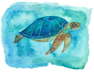 Watercolor Sea Turtle