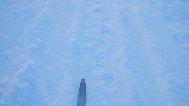 winter skiikng adventure in lappland