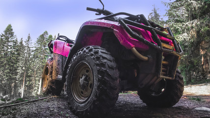 red quad bike in the forest, close-up © domarevatanya