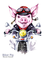 Dzieci ilustracji. Akwarela grange świnia w kurtce na motocyklu. Zabawny rowerzysta. Transport. Symbol roku 2019. Idealny na koszulki, plakaty, karty, etui na telefony. - 212483121