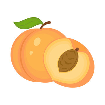 recommend clip art: Guicy peach fruit whith green  leaf and half peach vector illust