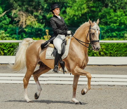 Elegant rider woman and cremello horse. Beautiful girl at advanced dressage test on equestrian competition. Professional female horse rider, equine theme. Saddle, bridle and other details.