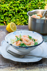 Prawn, fennel and rocket risotto on a table in the gargen. Outdoor dining.