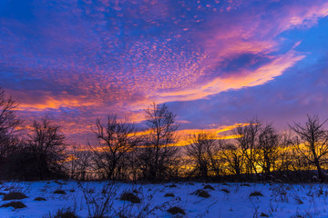 Sunrise on the cold winter landscape