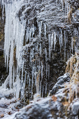 Icicles on the stones ion cold winter