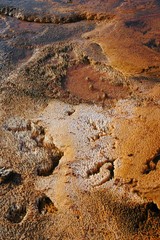 Crystallized mud.  Heavily mineralized runoff from the geysers of Yellowstone cools and crystallizes in the dirt.  Bacteria give it a golden color.