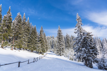 Obraz na płótnie Canvas Winter landscape with fresh snow on the trees
