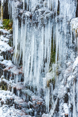 Winter icicles