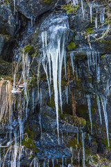 Fototapeta na wymiar Winter icicles