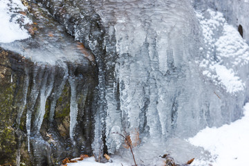 Winter icicles