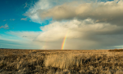 Naklejka na ściany i meble Beautiful rainbow with clouds in the field