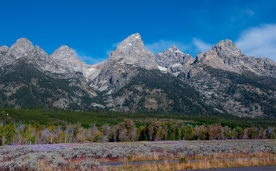 Grant Teton Mountain Range