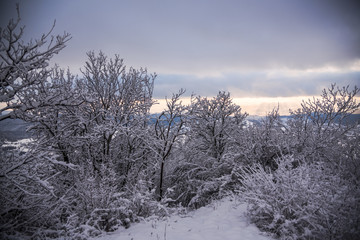 Winter landscape in the mountains
