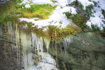 Frozen icicles on the rocks inside of the forest