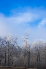 Obraz na płótnie Canvas Winter landscape