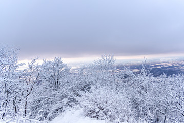 Wintyer landscape in Sacaramb , Romaniua