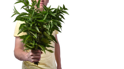 Man with bunch of nettle in hand, isolated on white on white background. Conception - breakup of...