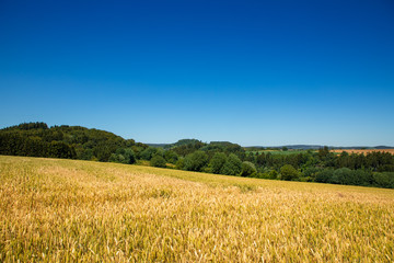 H&uuml;gelige Ideal Landschaft im Sommer