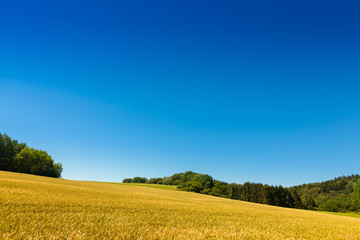 H&uuml;gelige Ideal Landschaft im Sommer