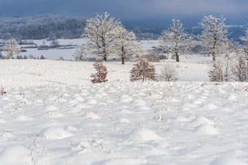 Fototapeta na wymiar Winter landscape with fresh snow