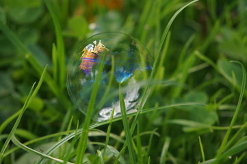 soap bubbles on the grass
