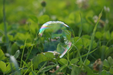 soap bubbles on the grass