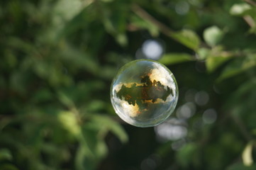 soap bubbles on the grass