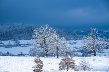 Winter landscape