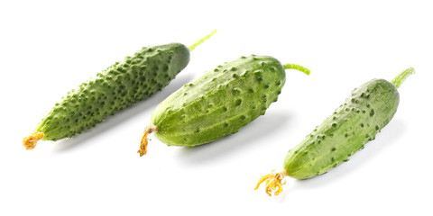 Close view of cucumbers
