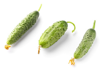 Three cucumbers from the garden on white