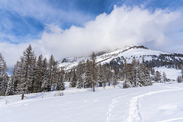 Fototapeta premium Landscape in Dolomites Mountains, Italy