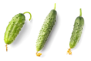 Top view of cucumber n the white