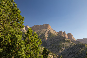 Obraz premium Juniperus Hezar Masjed Mountains, Khorasan, Iran
