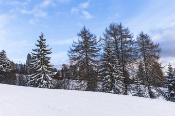 Winter in Dolomites Mountains