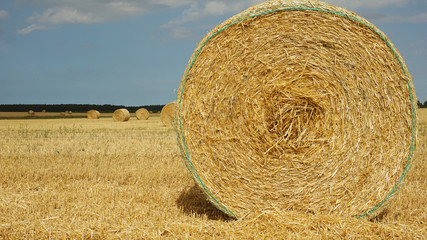 Strohballen auf einem Feld