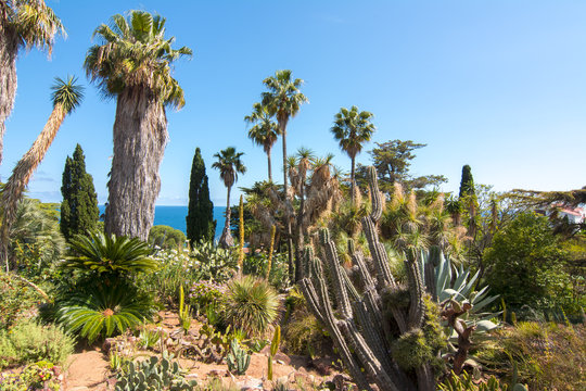 Marimurtra botanical garden in Blanes near Barcelona, Spain