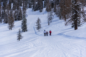 Winter landscape