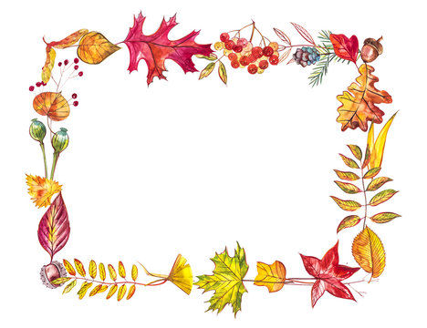 Autumn composition. Frame made of autumn berries and leaves on white background. Watercolor illustrations.