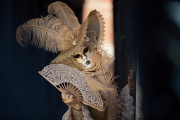 Carnevale Venezia