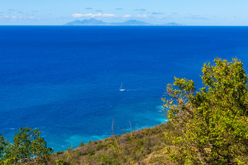 Naklejka premium Trees Sea and Montserrat
