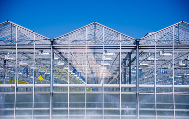 Obraz premium Modern glass greenhouses against the blue sky.